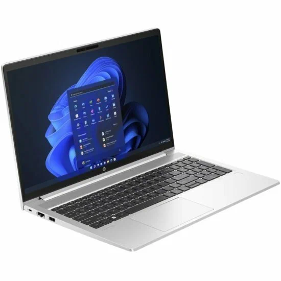 HP PROBOOK 450 G10 (8A5A7EA)