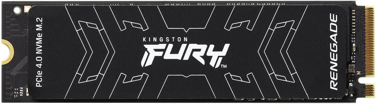 KINGSTON FURY SFYRS/500G