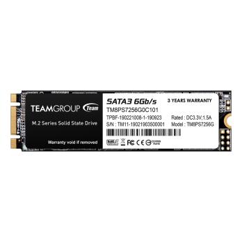 TEAM GROUP MS30 256GB