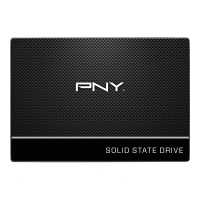 PNY SSD7CS900-2TB-RB